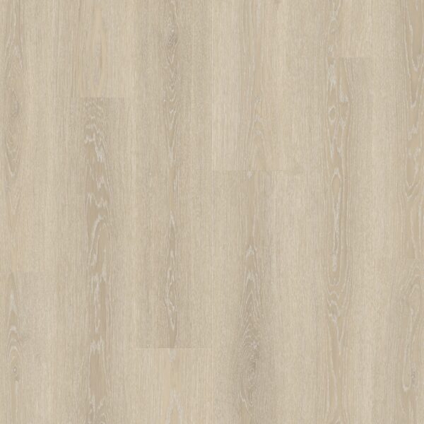 Rovere Norvegese Gesso