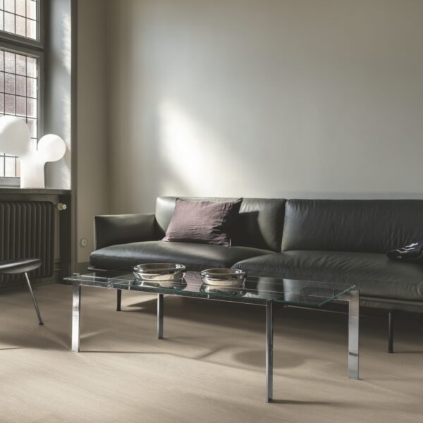 Rovere Norvegese Gesso