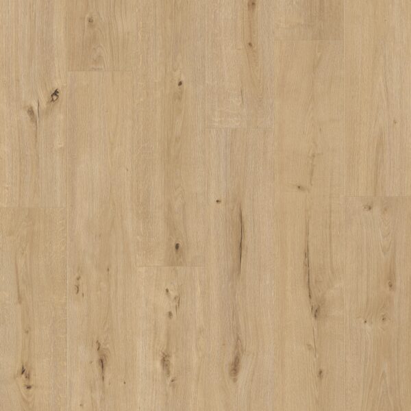 Rovere Irlandese Naturale