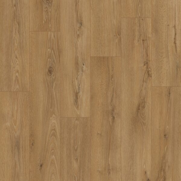 Rovere Eifel Marrone